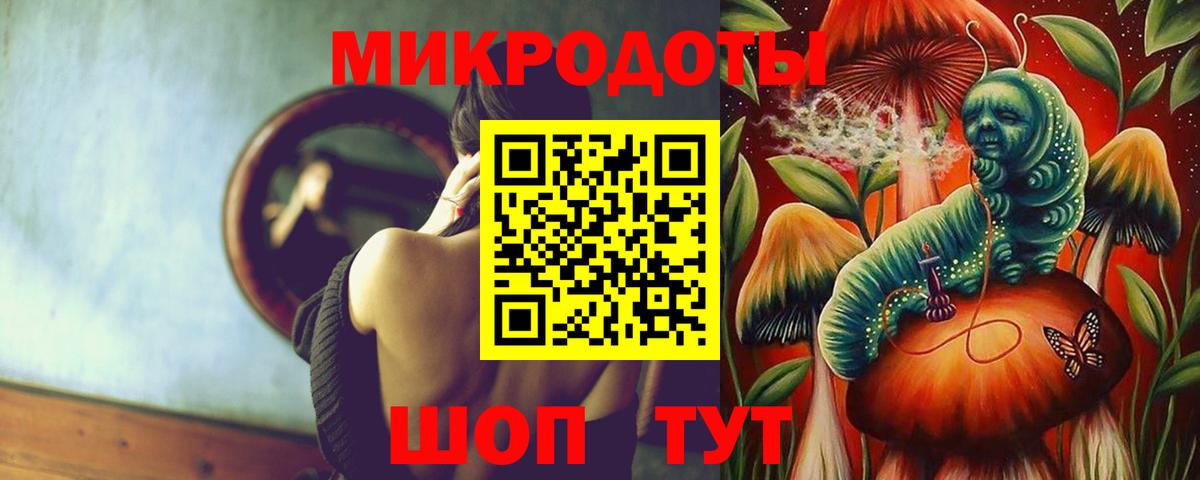 Кунгур  Галлюциногенные грибы Psilocybine cubensis  Вход с VPN 